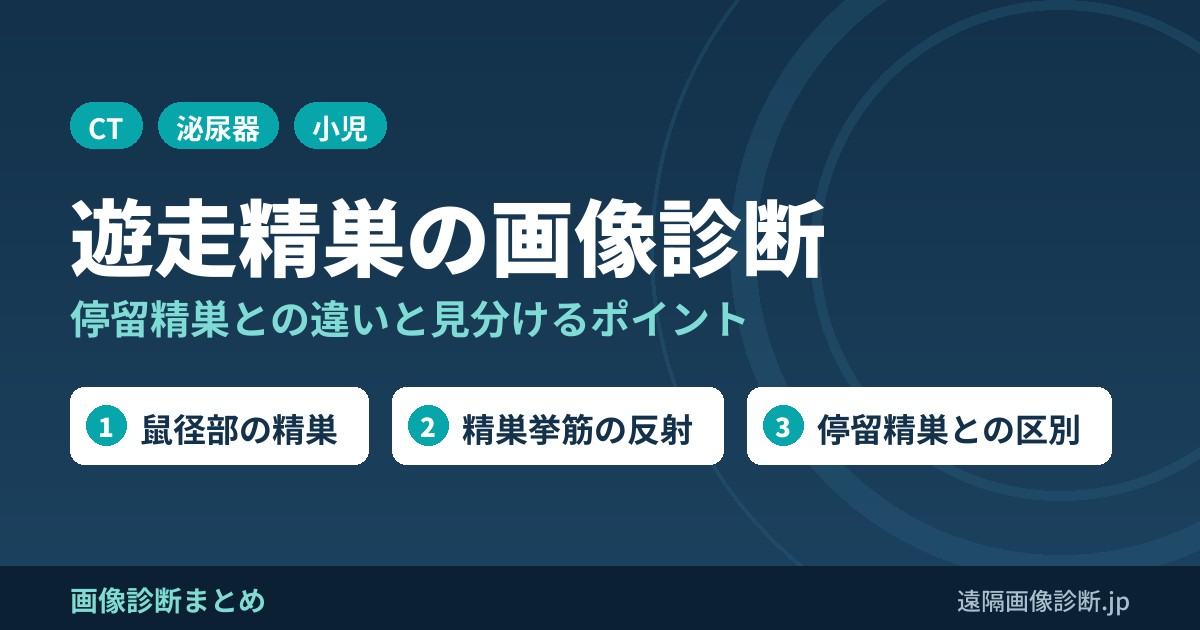 遊走精巣/移動性精巣のCT画像診断のポイント