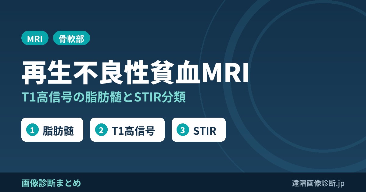 再生不良性貧血の骨髄MRI画像所見｜T1高信号の脂肪髄とSTIRによる分類
