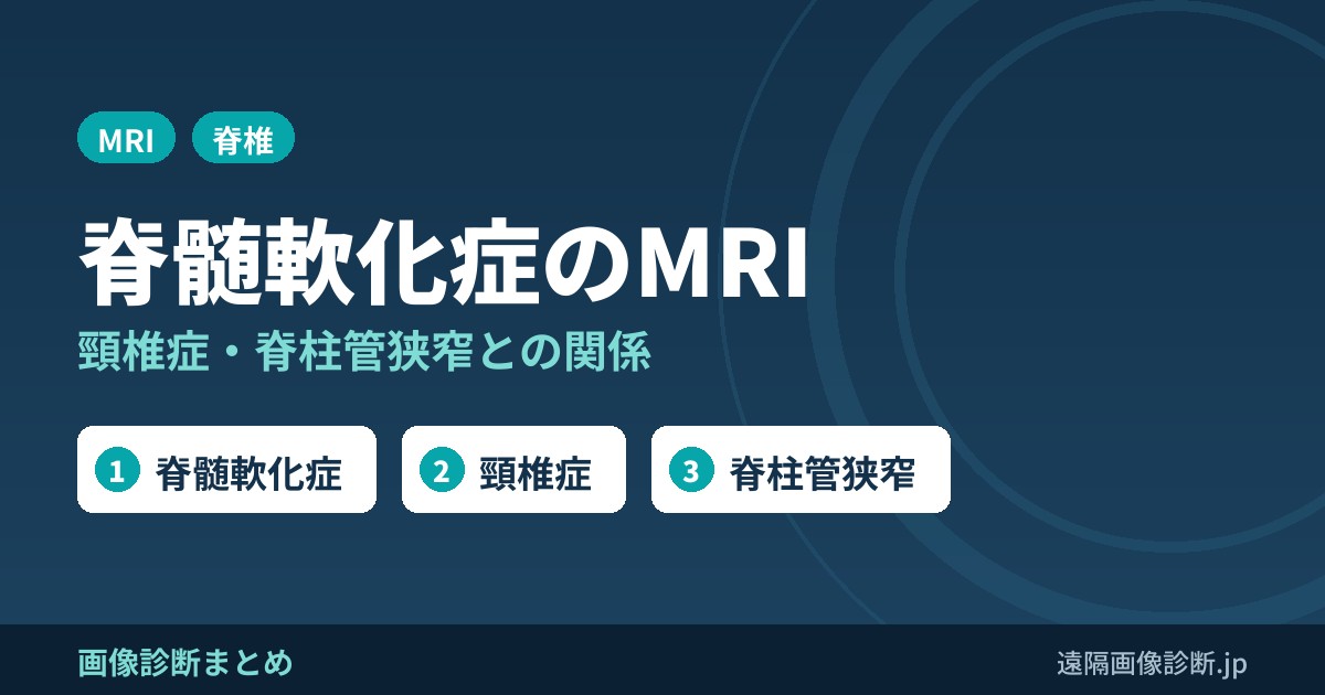 脊髄軟化症(myelomalacia)とは？人での原因(頸椎症・脊柱管狭窄)とMRI画像所見