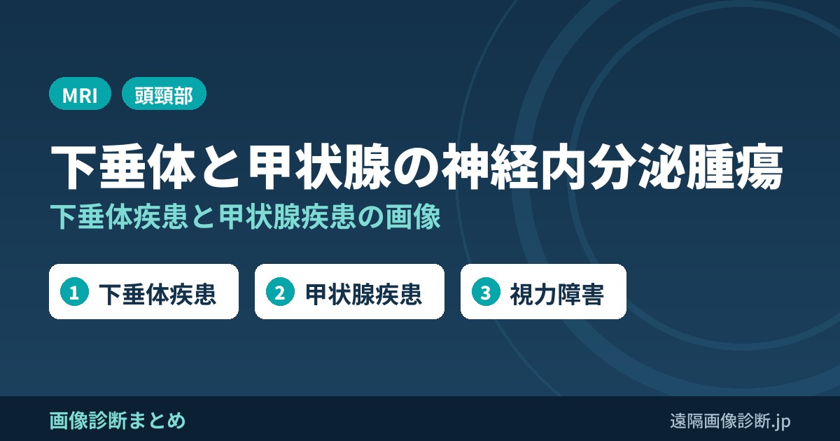 神経内分泌腫瘍　下垂体と甲状腺