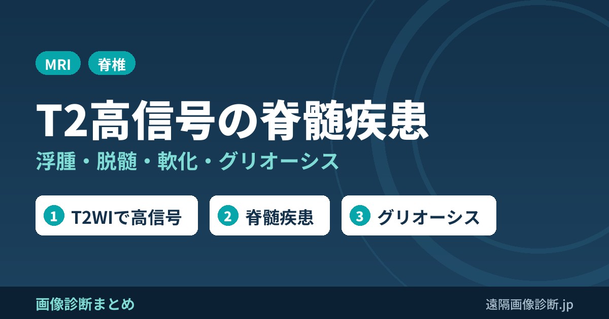 脊髄疾患(T2WIで高信号)総論(浮腫、脱髄、軟化、グリオーシス)