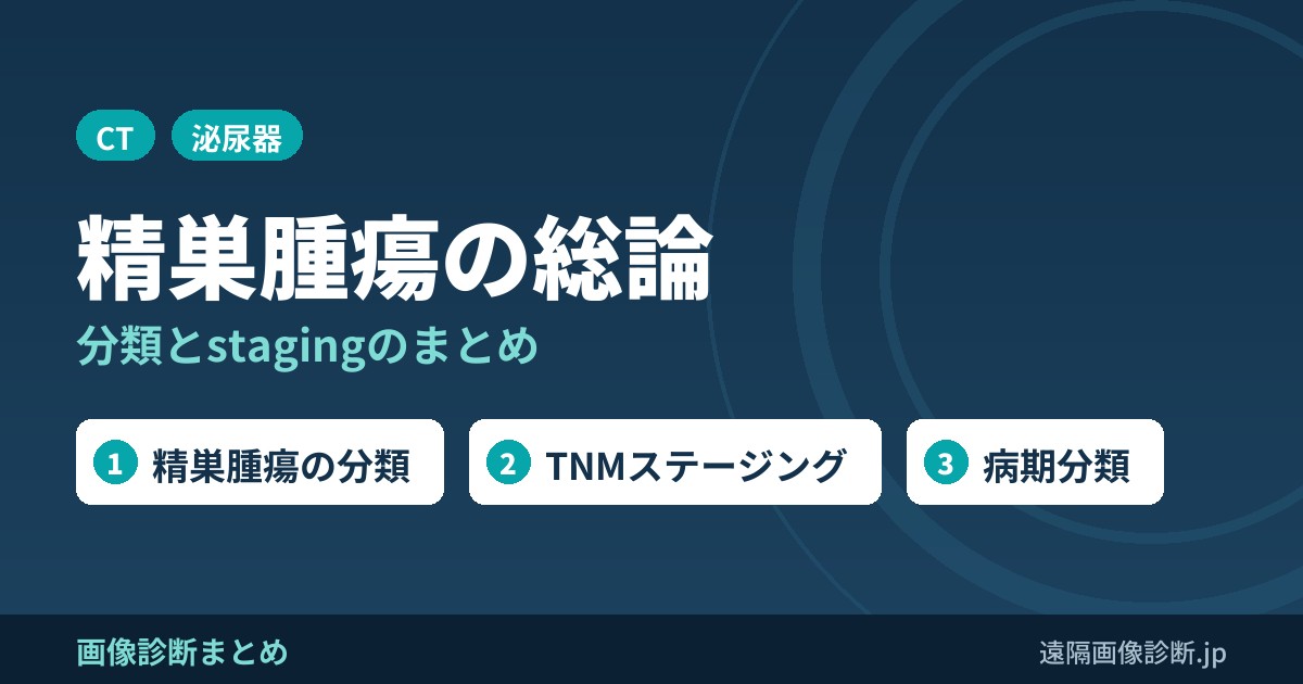 精巣腫瘍総論、分類とstagingまとめ