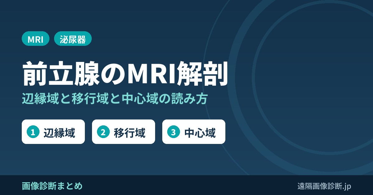 前立腺のMRI解剖と画像の読み方｜辺縁域・移行域・中心域と被膜・精嚢・神経血管束