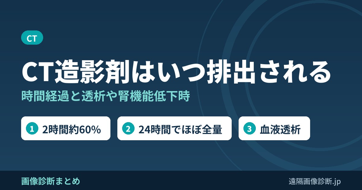 CT造影剤(ヨード造影剤)は何時間で排出される？2時間60%・24時間でほぼ全量、透析・腎機能低下時と胆のうへの排泄