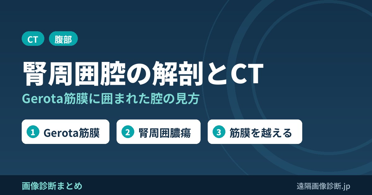 腎周囲腔(perirenal space)とは？解剖とCT画像診断のポイント