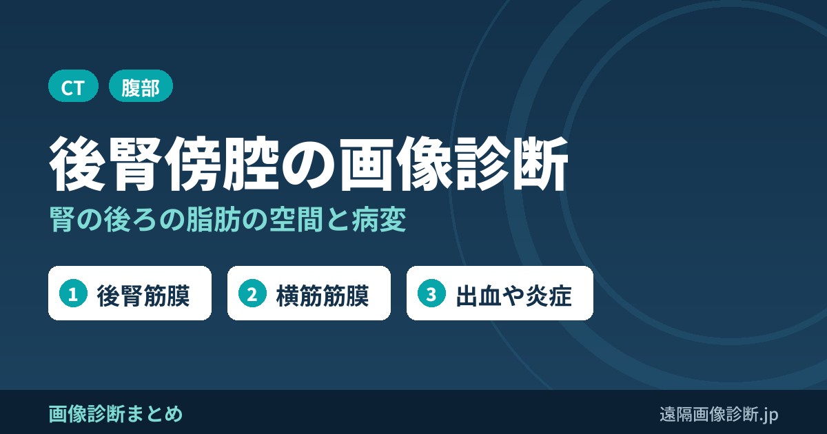 後腎傍腔の画像診断(posterior pararenal space、後腹膜)