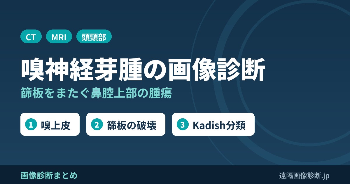 嗅神経芽腫の画像診断