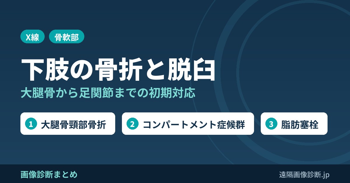 下肢の外傷(骨折および脱臼)各論および初期対応