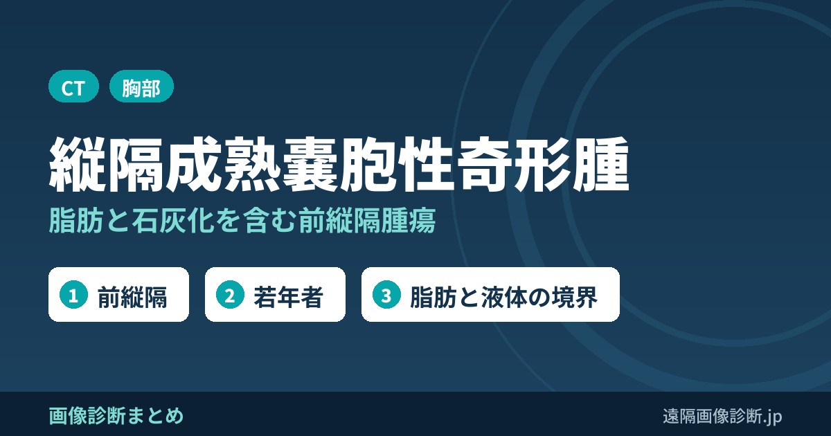 縦隔成熟嚢胞性奇形腫とは？画像診断のポイントは？