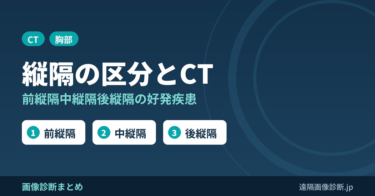 前・中・後縦隔の横断像CTによる解剖区分図！鑑別疾患は？画像所見は？