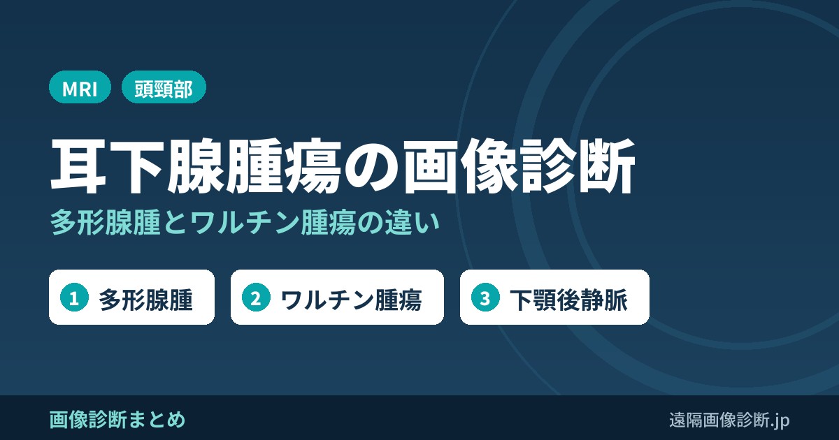 耳下腺腫瘍の画像診断｜多形腺腫・ワルチン腫瘍の違いとMRI所見、浅葉・深葉の見分け方
