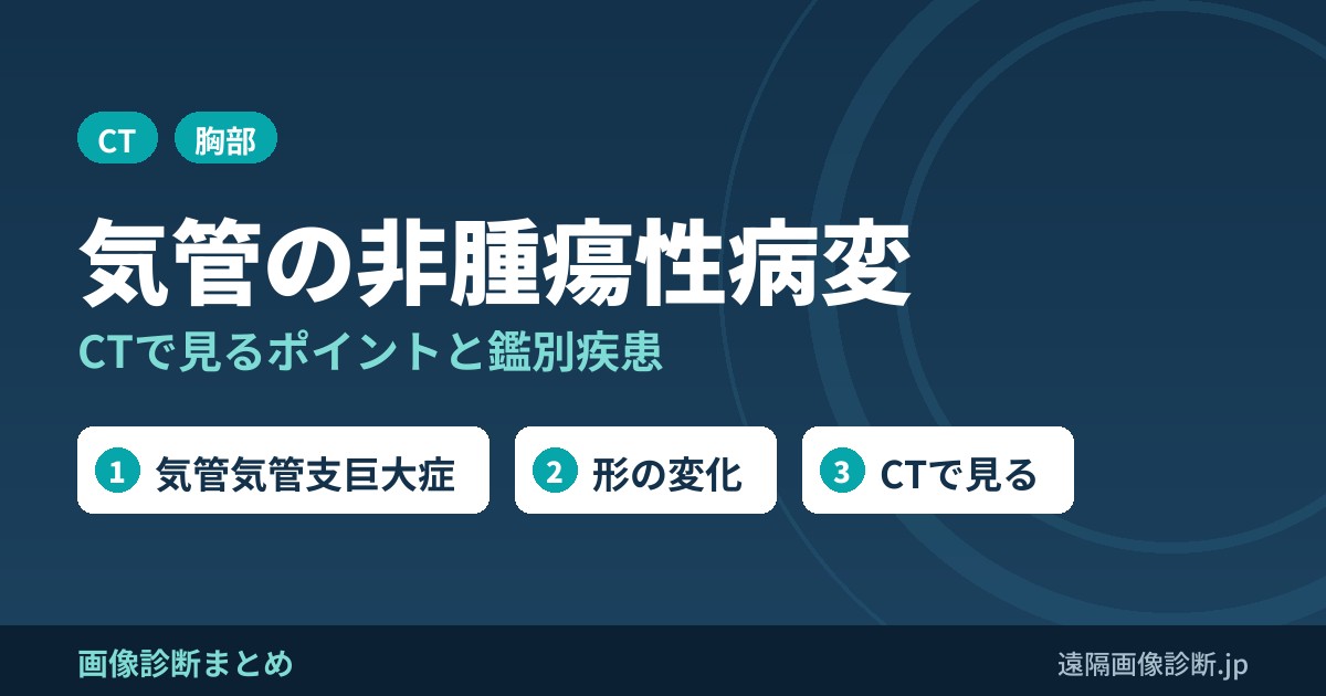 気管・気管支の非腫瘍性病変の鑑別診断｜CTで見るポイント