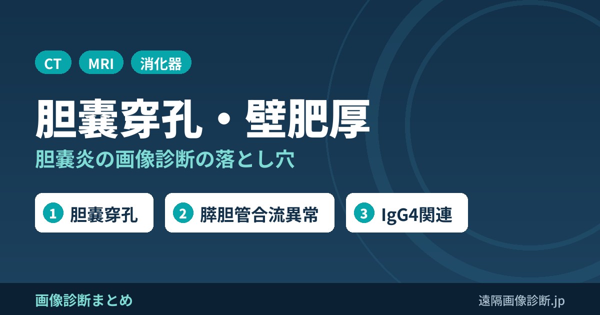 胆嚢穿孔・壁肥厚 胆嚢炎の画像診断の落とし穴