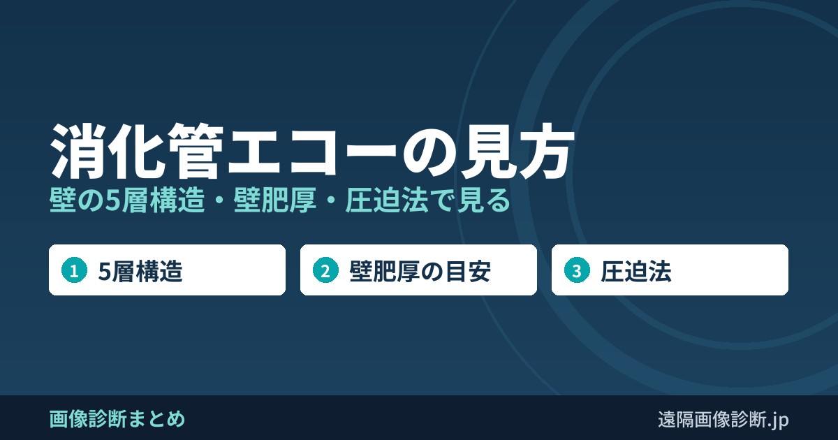 消化管エコーの見方 壁の5層構造・壁肥厚・圧迫法で見る