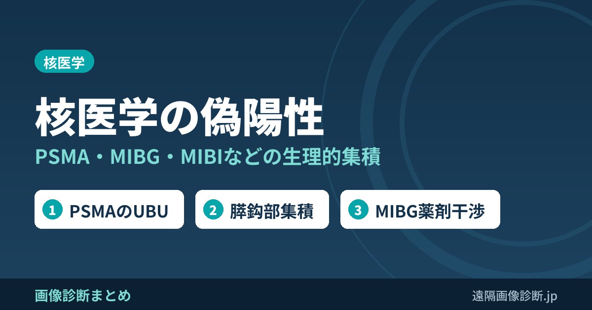 核医学の偽陽性 PSMA・MIBG・MIBIなどの生理的集積