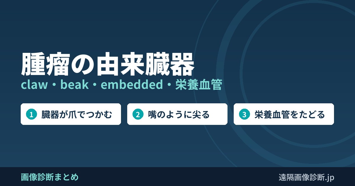 腫瘤の由来臓器 claw・beak・embedded・栄養血管