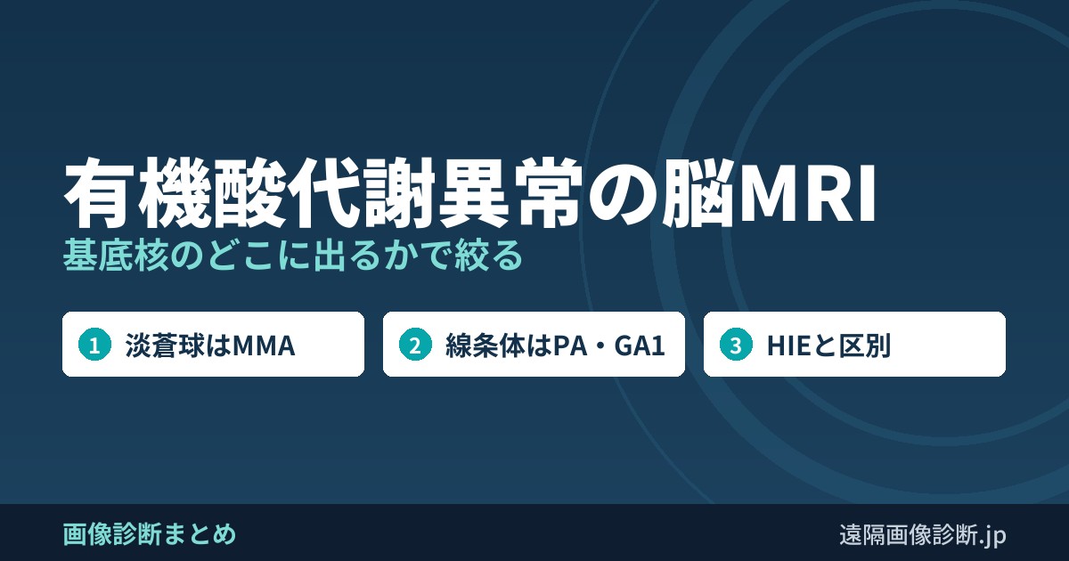 有機酸代謝異常の脳MRI 基底核のどこに出るかで絞る