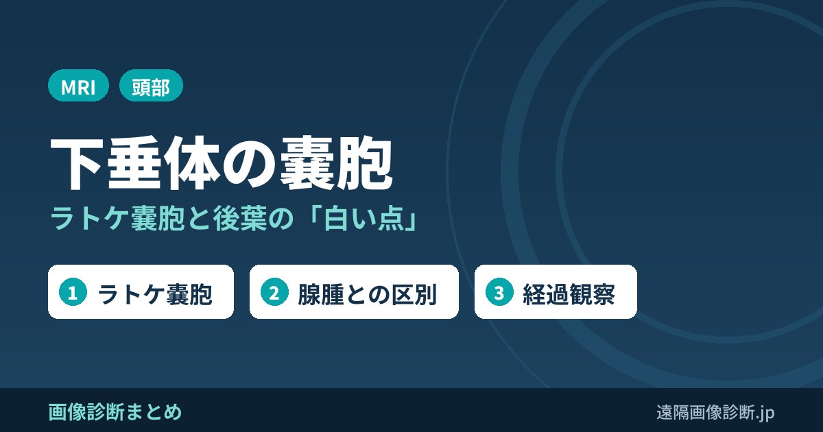 下垂体の嚢胞 ラトケ嚢胞と後葉の「白い点」