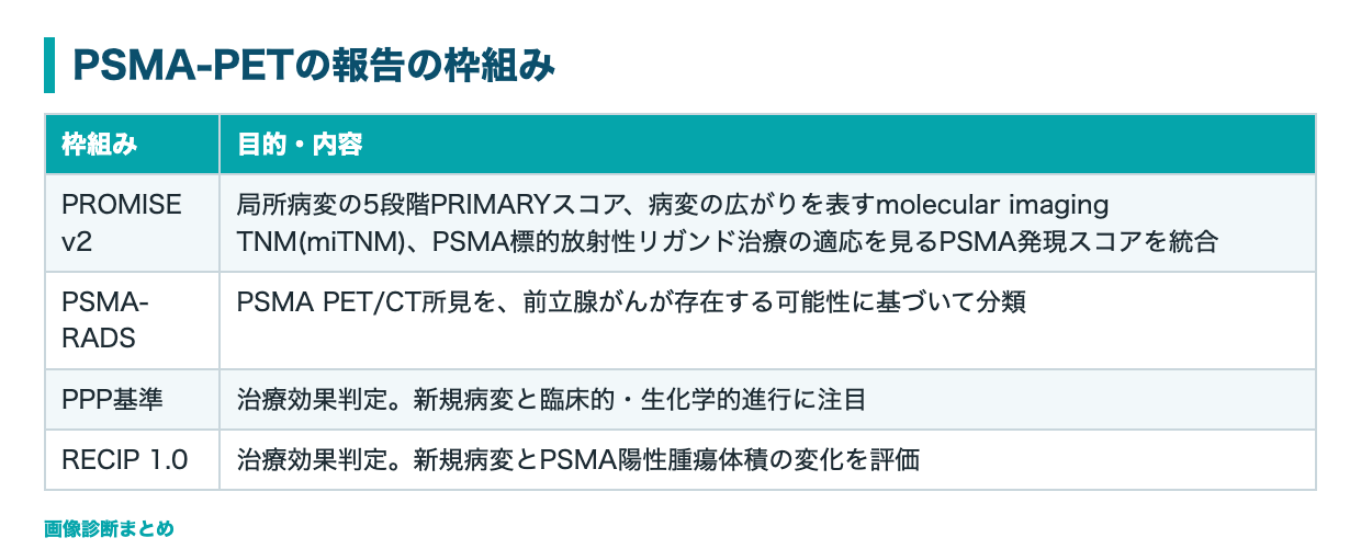 PSMA-PETの報告の枠組みの表
