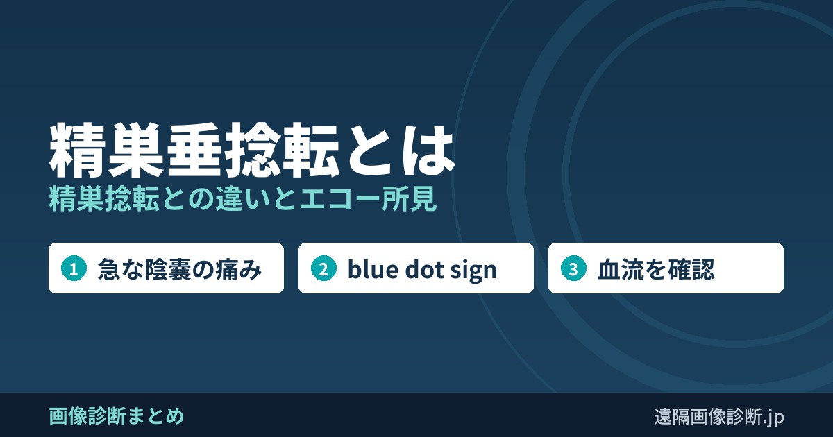 精巣垂捻転とは 精巣捻転との違いとエコー所見