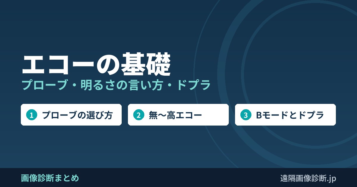 エコーの基礎 プローブ・明るさの言い方・ドプラ