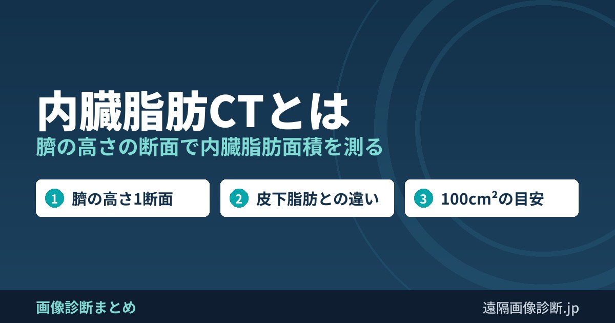 内臓脂肪CTとは 臍の高さの断面で内臓脂肪面積を測る